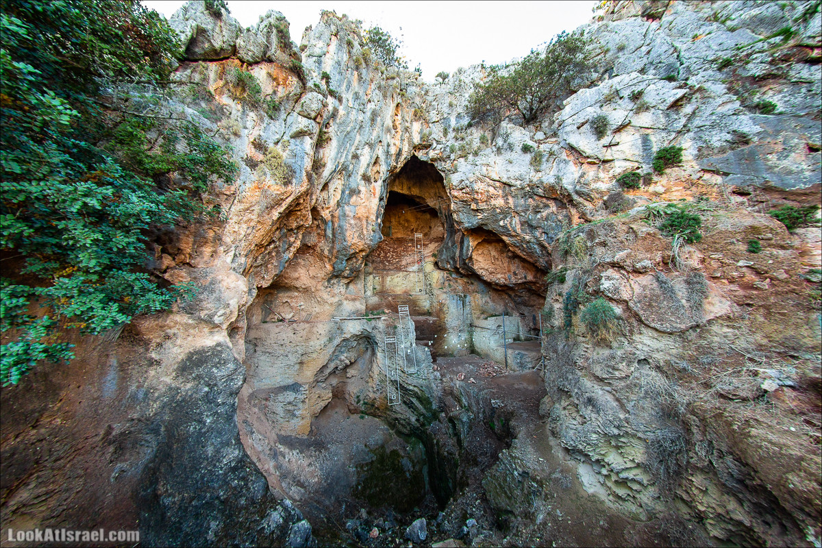 Пещера древнего человека в заповедника Нахаль Меарот и красивый маршрут по горе Кармель | LookAtIsrael.com - Фото путешествия по Израилю
