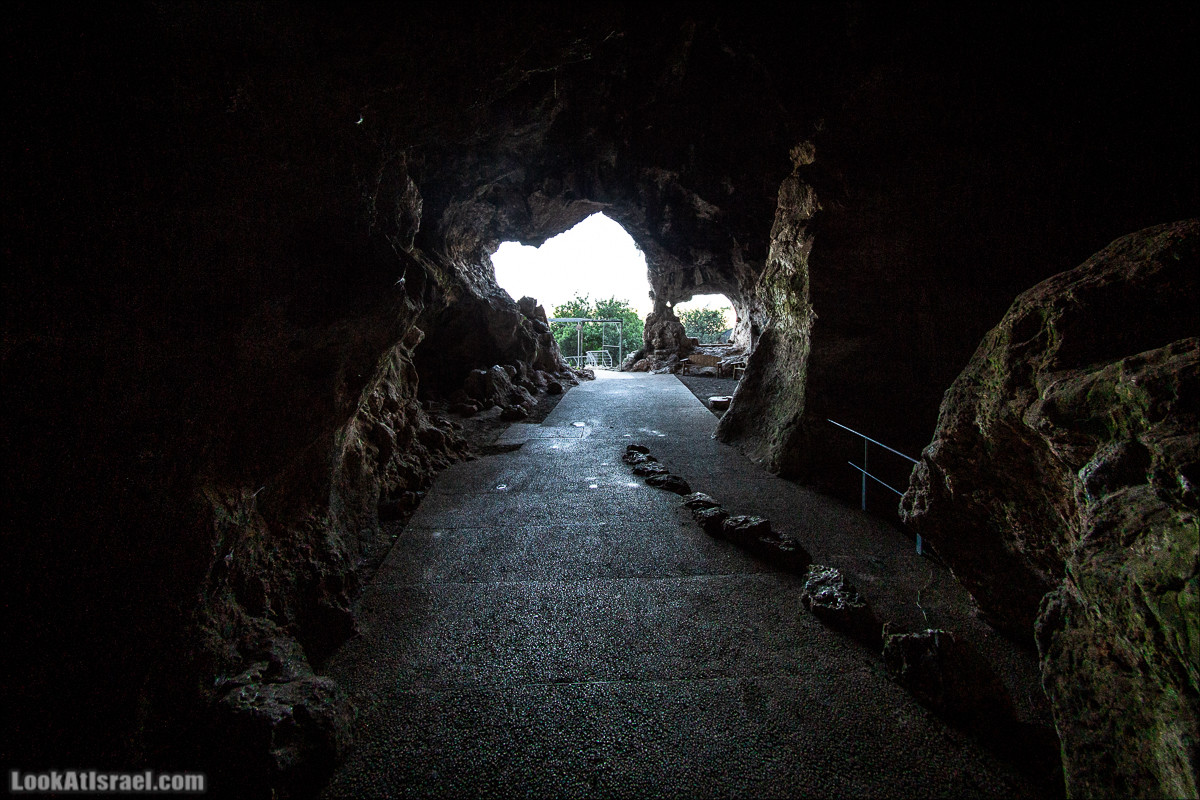 Пещера древнего человека в заповедника Нахаль Меарот и красивый маршрут по горе Кармель | LookAtIsrael.com - Фото путешествия по Израилю