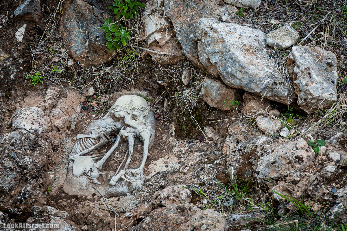 Пещера древнего человека в заповедника Нахаль Меарот и красивый маршрут по горе Кармель | LookAtIsrael.com - Фото путешествия по Израилю