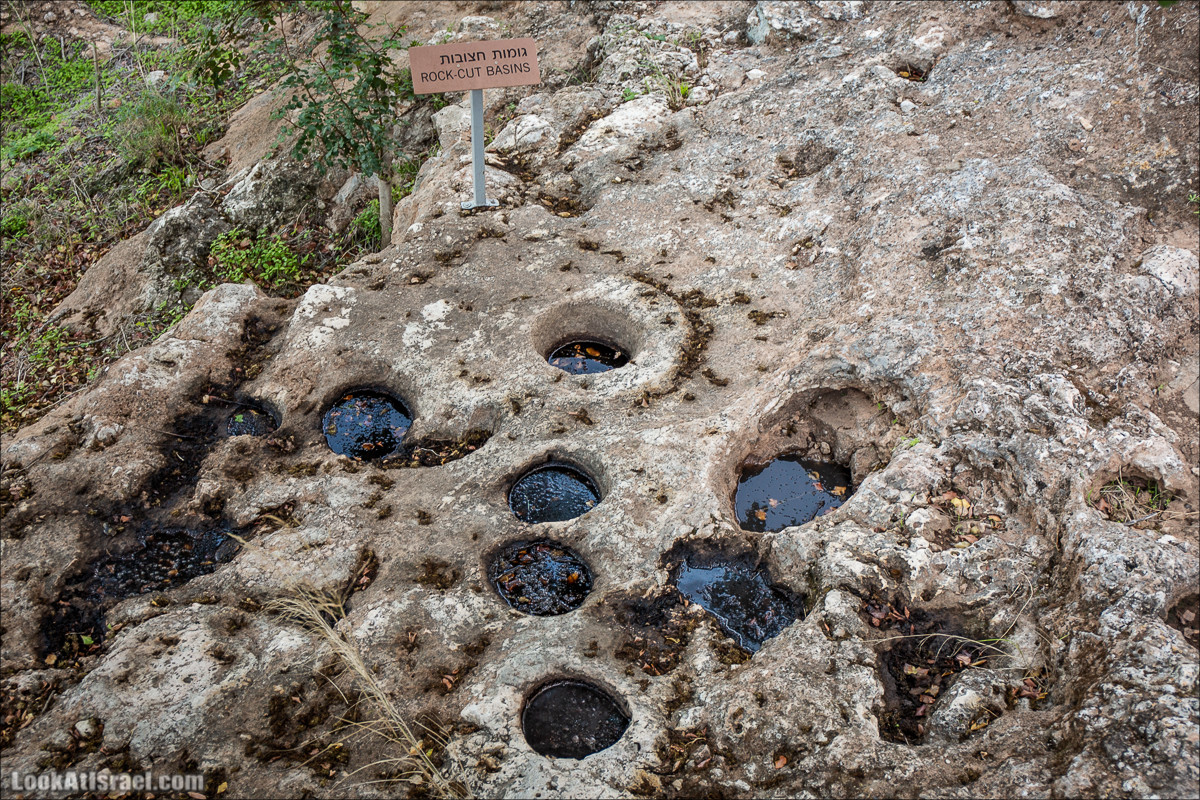 Пещера древнего человека в заповедника Нахаль Меарот и красивый маршрут по горе Кармель | LookAtIsrael.com - Фото путешествия по Израилю
