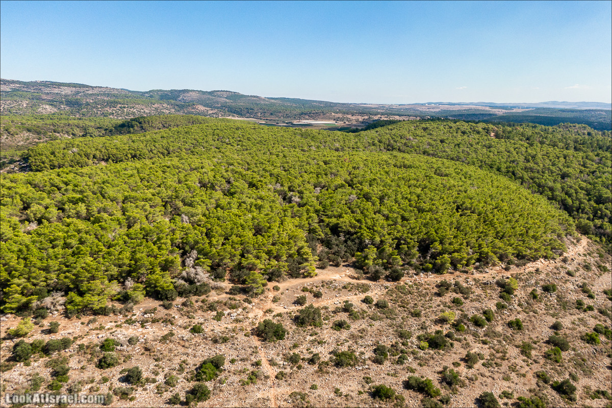 Пещера древнего человека в заповедника Нахаль Меарот и красивый маршрут по горе Кармель | LookAtIsrael.com - Фото путешествия по Израилю