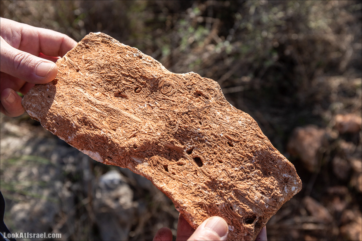 Пещера древнего человека в заповедника Нахаль Меарот и красивый маршрут по горе Кармель | LookAtIsrael.com - Фото путешествия по Израилю