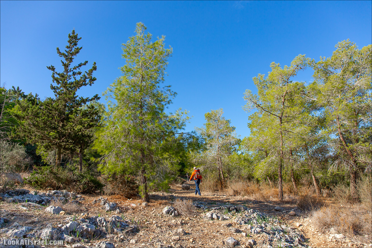 Пещера древнего человека в заповедника Нахаль Меарот и красивый маршрут по горе Кармель | LookAtIsrael.com - Фото путешествия по Израилю