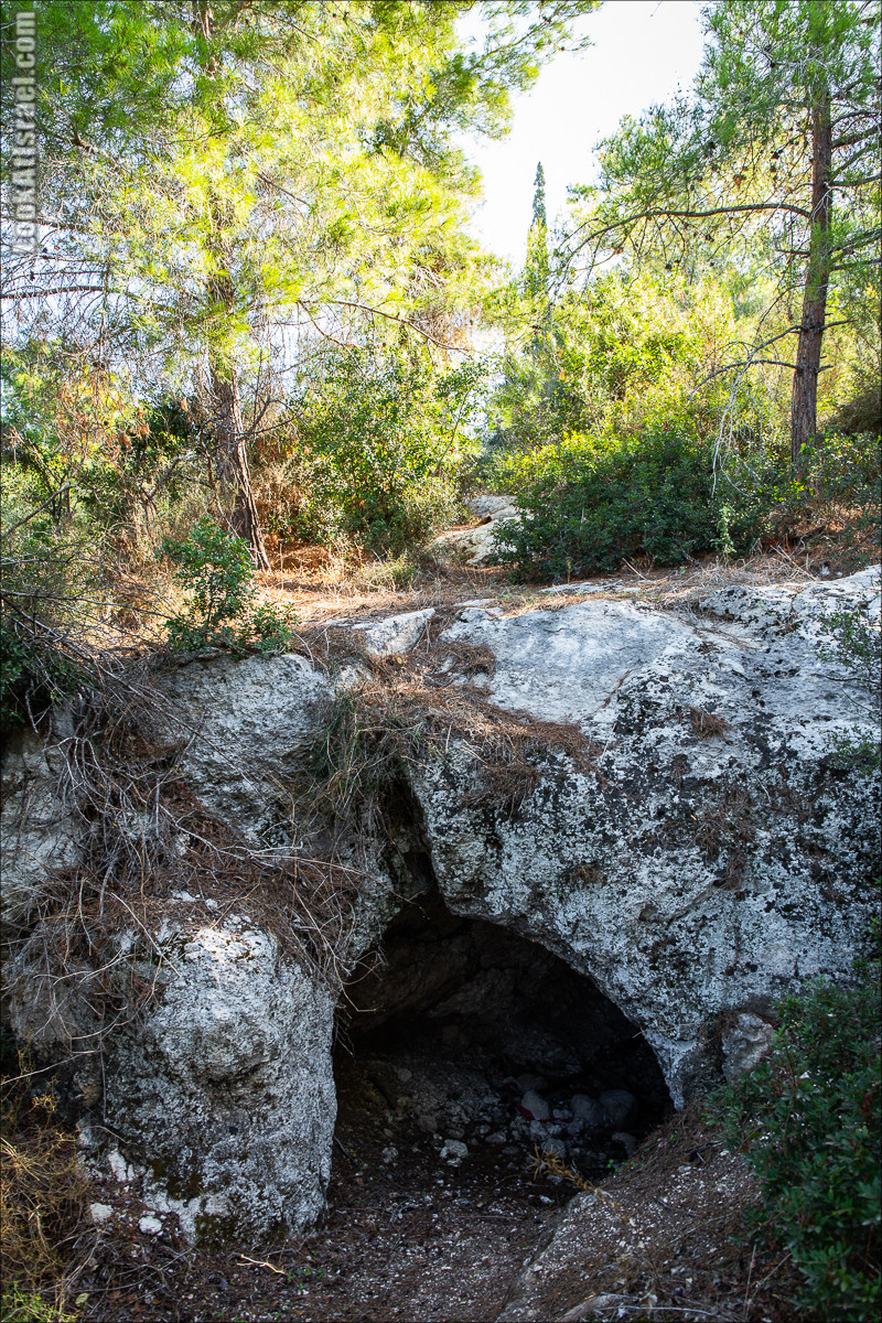 Пещера древнего человека в заповедника Нахаль Меарот и красивый маршрут по горе Кармель | LookAtIsrael.com - Фото путешествия по Израилю