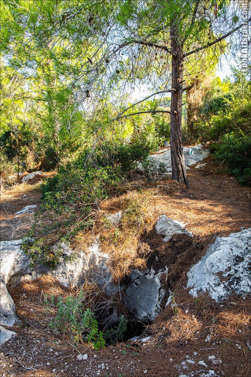 Пещера древнего человека в заповедника Нахаль Меарот и красивый маршрут по горе Кармель | LookAtIsrael.com - Фото путешествия по Израилю