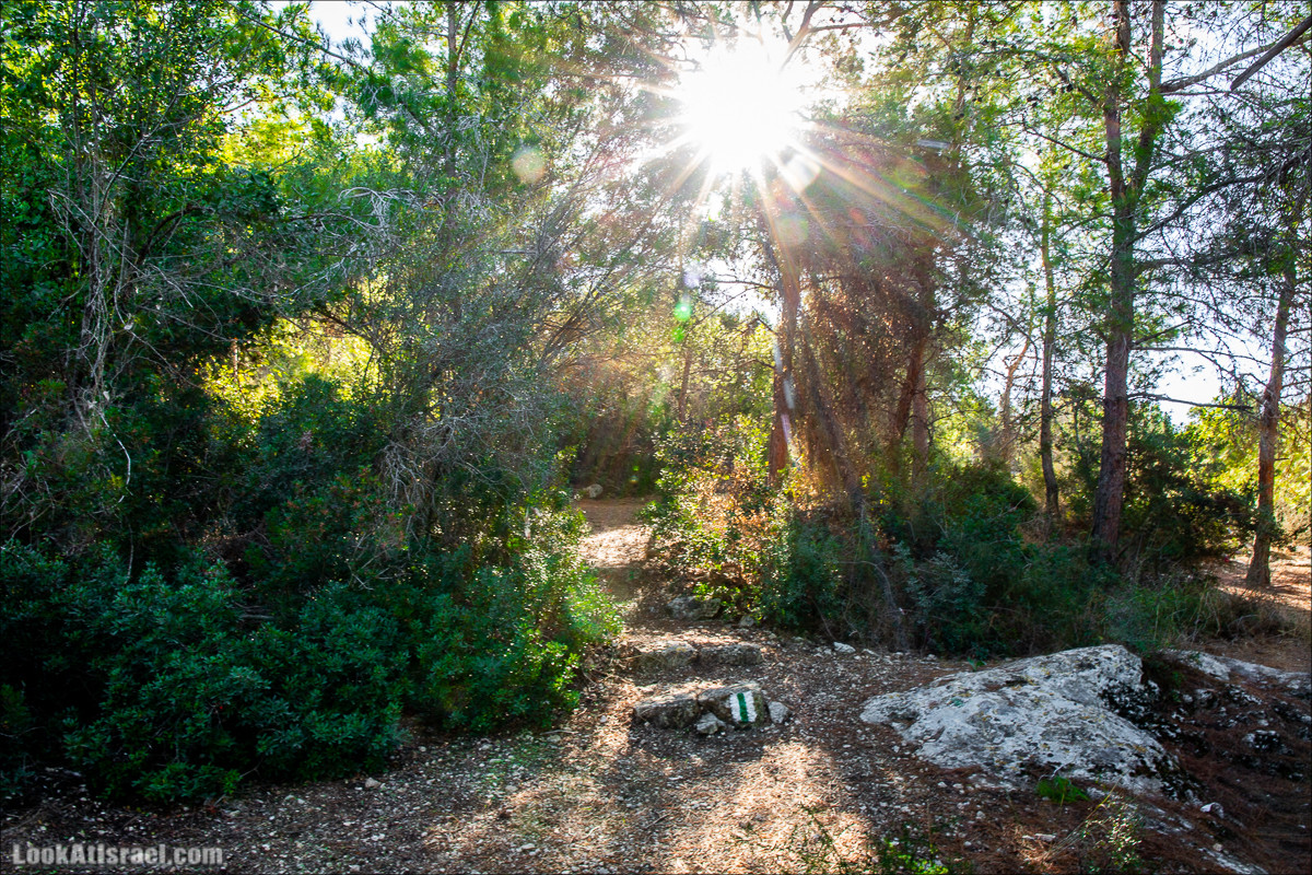 Пещера древнего человека в заповедника Нахаль Меарот и красивый маршрут по горе Кармель | LookAtIsrael.com - Фото путешествия по Израилю