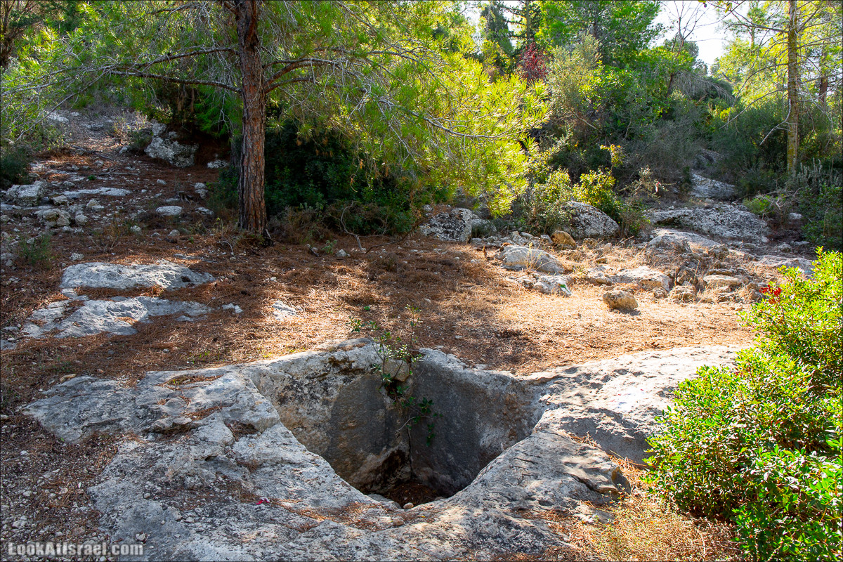 Пещера древнего человека в заповедника Нахаль Меарот и красивый маршрут по горе Кармель | LookAtIsrael.com - Фото путешествия по Израилю