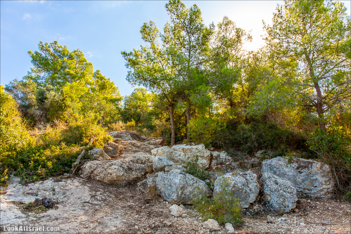 Пещера древнего человека в заповедника Нахаль Меарот и красивый маршрут по горе Кармель | LookAtIsrael.com - Фото путешествия по Израилю