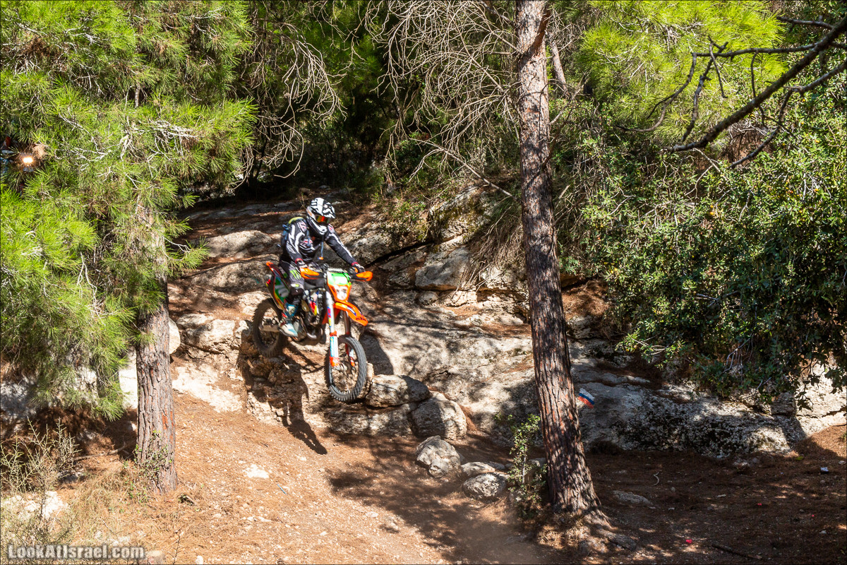 Пещера древнего человека в заповедника Нахаль Меарот и красивый маршрут по горе Кармель | LookAtIsrael.com - Фото путешествия по Израилю