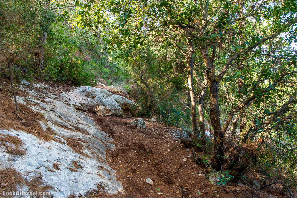Пещера древнего человека в заповедника Нахаль Меарот и красивый маршрут по горе Кармель | LookAtIsrael.com - Фото путешествия по Израилю