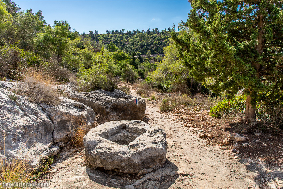 Пещера древнего человека в заповедника Нахаль Меарот и красивый маршрут по горе Кармель | LookAtIsrael.com - Фото путешествия по Израилю
