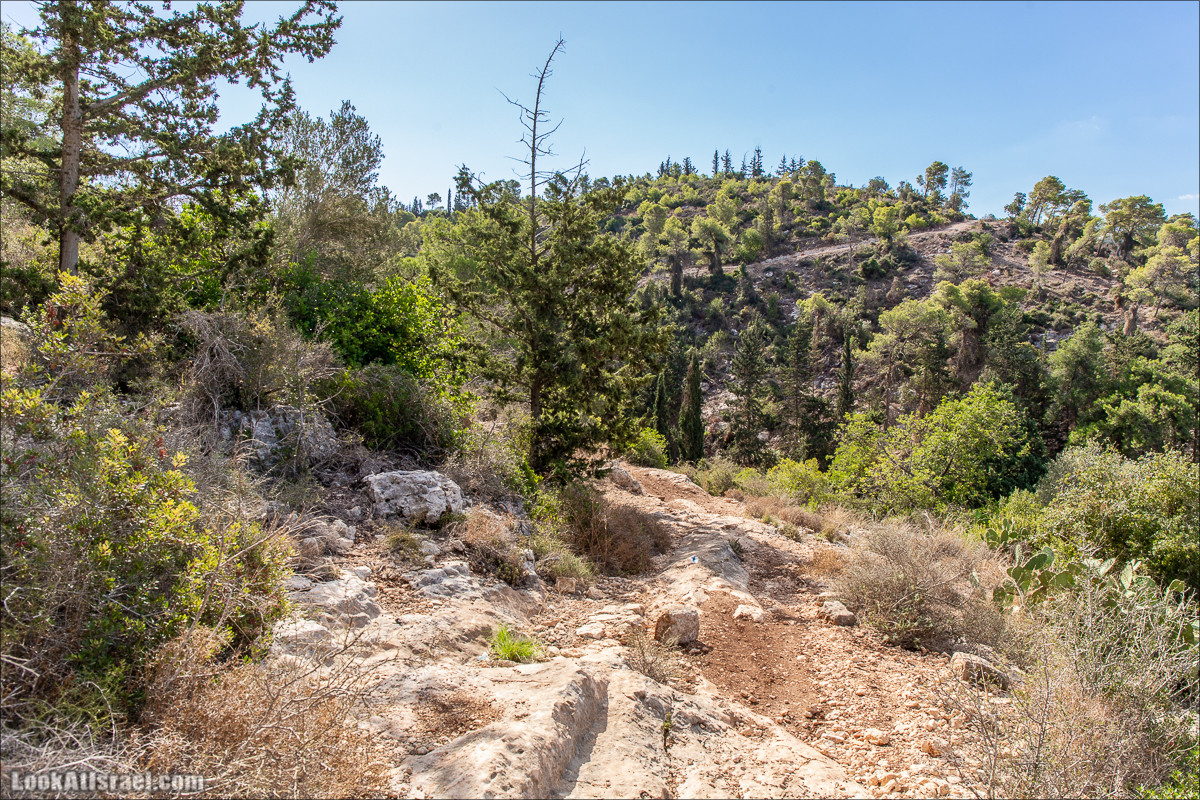 Пещера древнего человека в заповедника Нахаль Меарот и красивый маршрут по горе Кармель | LookAtIsrael.com - Фото путешествия по Израилю