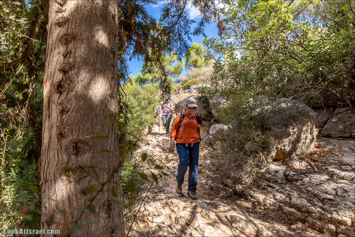 Пещера древнего человека в заповедника Нахаль Меарот и красивый маршрут по горе Кармель | LookAtIsrael.com - Фото путешествия по Израилю
