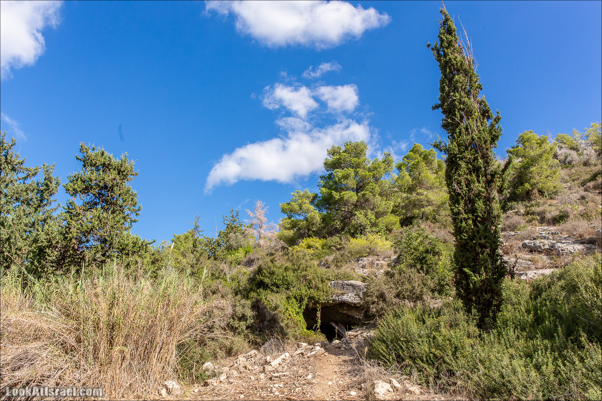 Пещера древнего человека в заповедника Нахаль Меарот и красивый маршрут по горе Кармель | LookAtIsrael.com - Фото путешествия по Израилю