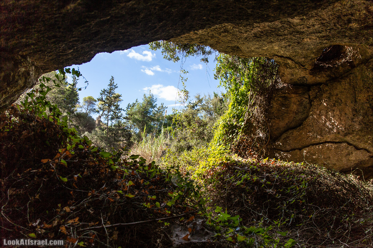 Пещера древнего человека в заповедника Нахаль Меарот и красивый маршрут по горе Кармель | LookAtIsrael.com - Фото путешествия по Израилю
