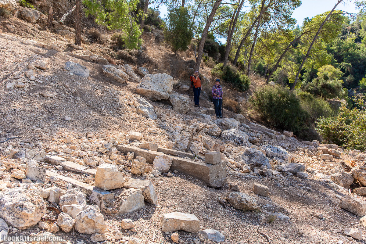 Пещера древнего человека в заповедника Нахаль Меарот и красивый маршрут по горе Кармель | LookAtIsrael.com - Фото путешествия по Израилю