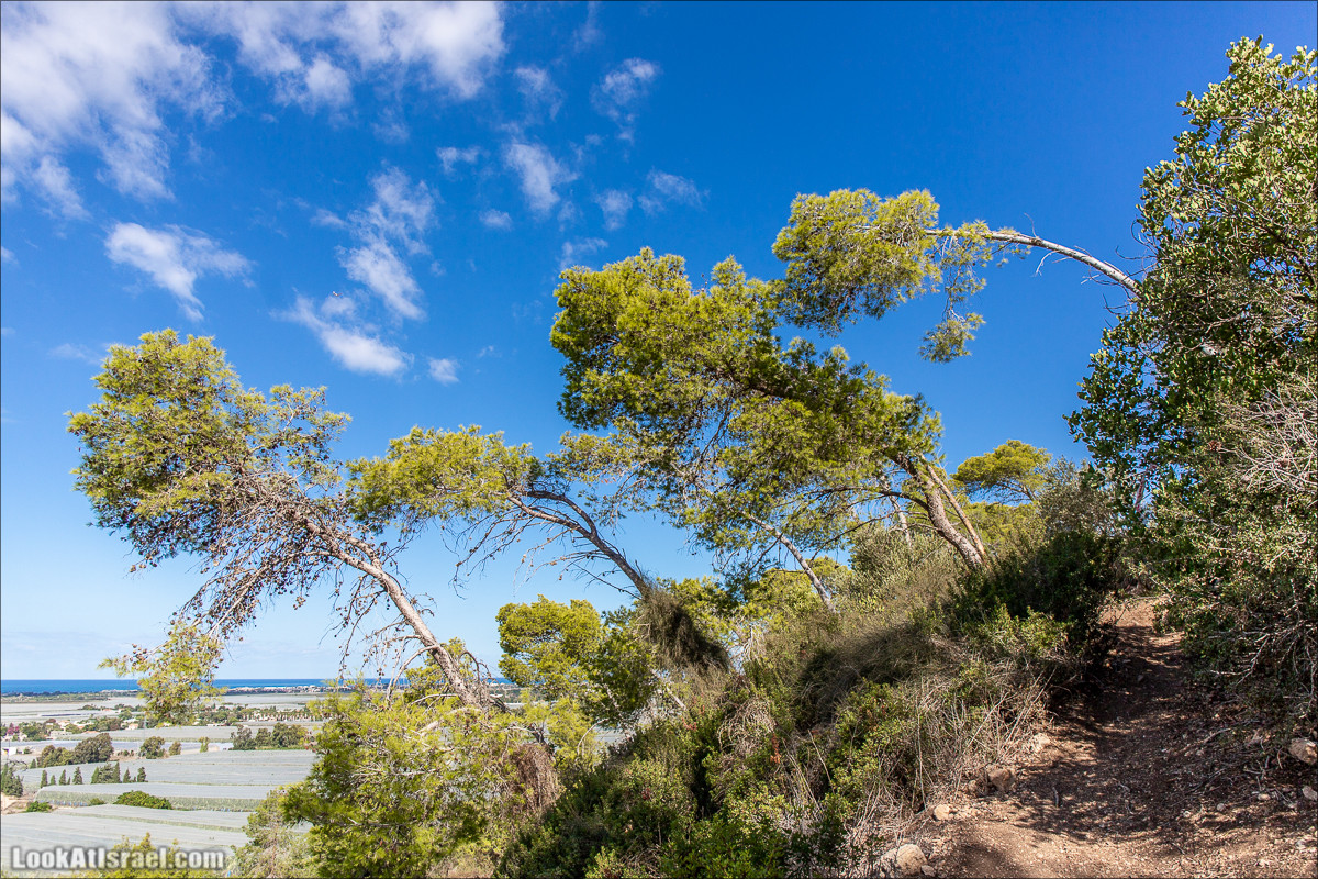 Пещера древнего человека в заповедника Нахаль Меарот и красивый маршрут по горе Кармель | LookAtIsrael.com - Фото путешествия по Израилю