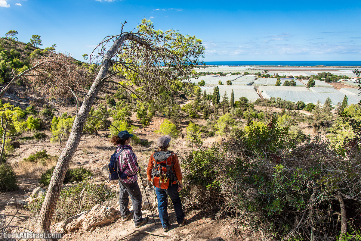Пещера древнего человека в заповедника Нахаль Меарот и красивый маршрут по горе Кармель | LookAtIsrael.com - Фото путешествия по Израилю