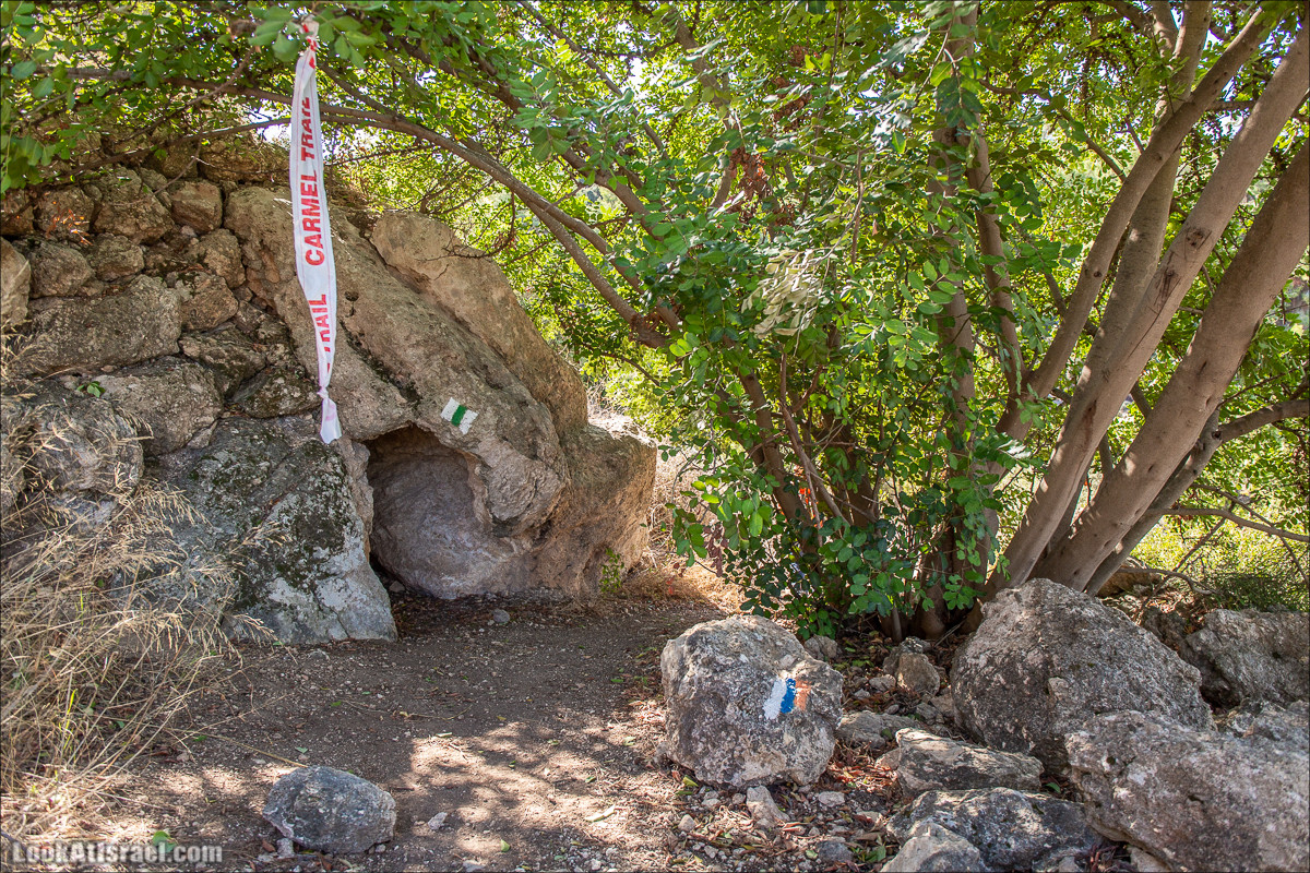 Пещера древнего человека в заповедника Нахаль Меарот и красивый маршрут по горе Кармель | LookAtIsrael.com - Фото путешествия по Израилю