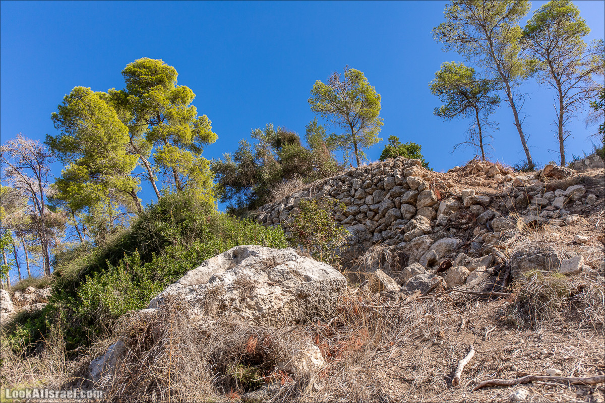 Пещера древнего человека в заповедника Нахаль Меарот и красивый маршрут по горе Кармель | LookAtIsrael.com - Фото путешествия по Израилю