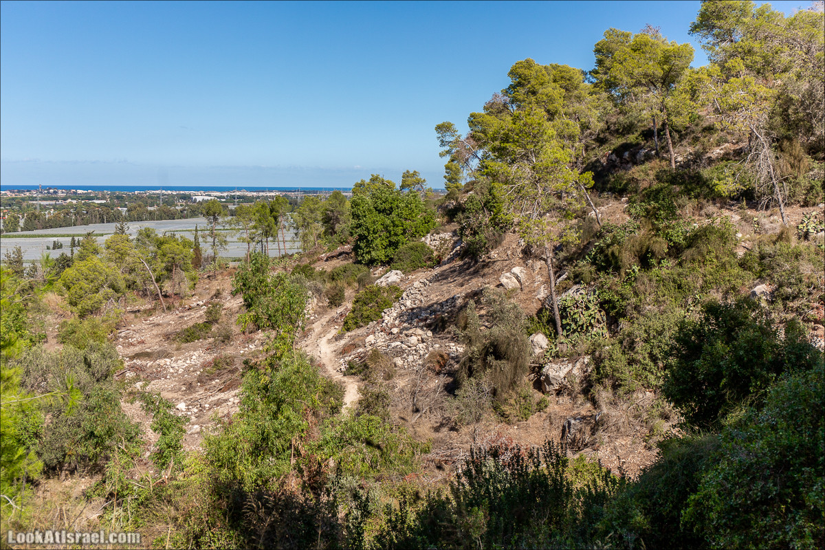 Пещера древнего человека в заповедника Нахаль Меарот и красивый маршрут по горе Кармель | LookAtIsrael.com - Фото путешествия по Израилю