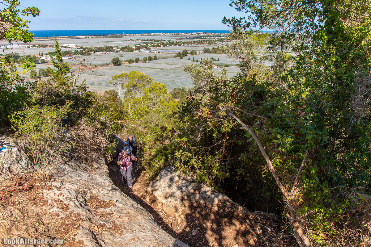 Пещера древнего человека в заповедника Нахаль Меарот и красивый маршрут по горе Кармель | LookAtIsrael.com - Фото путешествия по Израилю