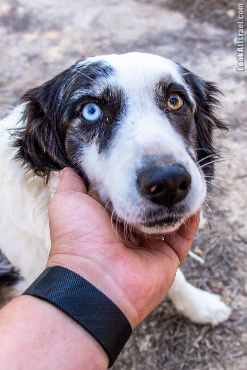 Пещера древнего человека в заповедника Нахаль Меарот и красивый маршрут по горе Кармель | LookAtIsrael.com - Фото путешествия по Израилю