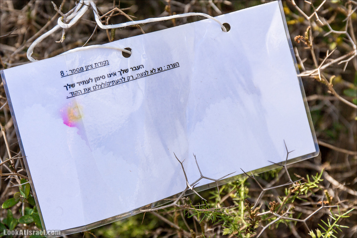 Пещера древнего человека в заповедника Нахаль Меарот и красивый маршрут по горе Кармель | LookAtIsrael.com - Фото путешествия по Израилю