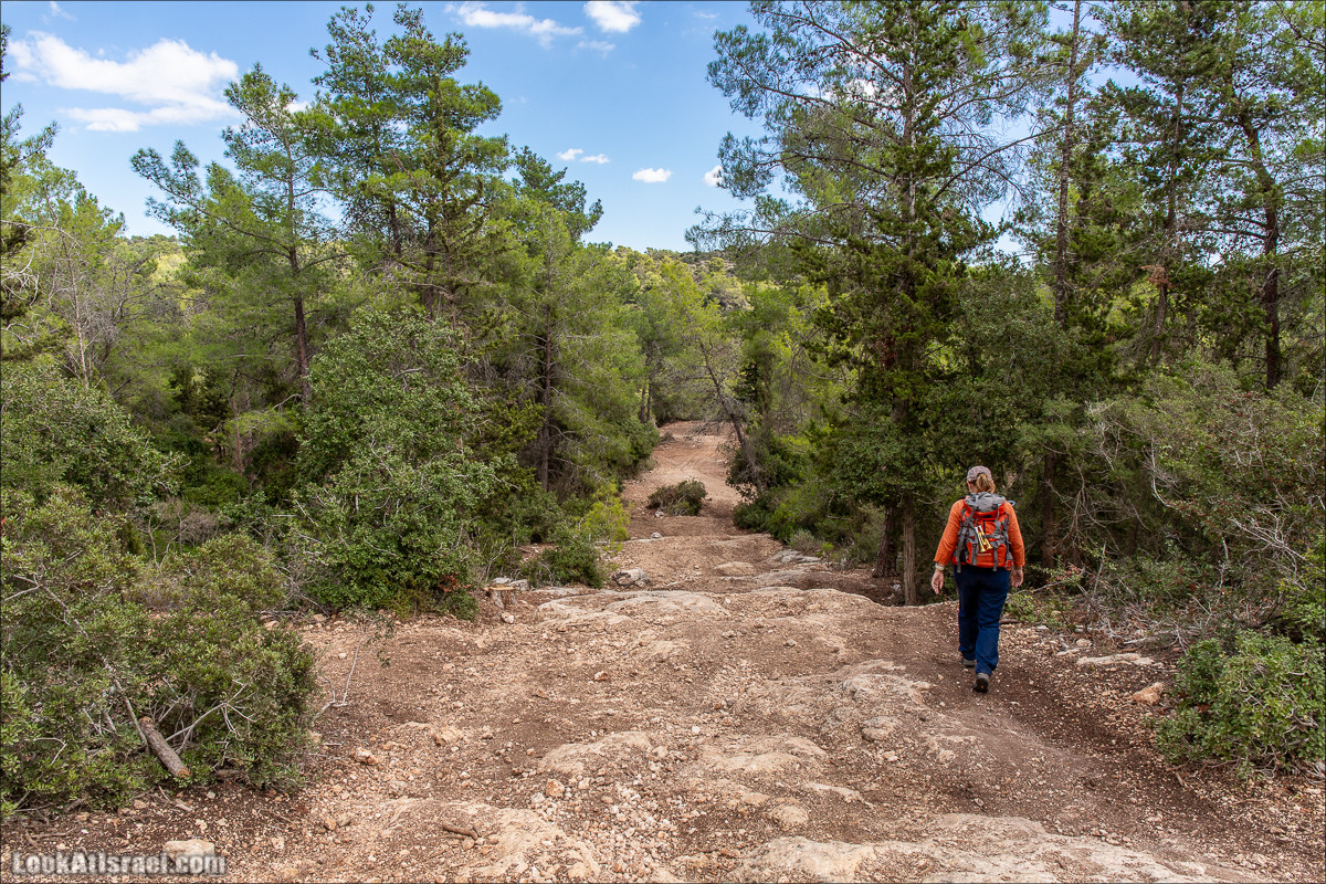 Пещера древнего человека в заповедника Нахаль Меарот и красивый маршрут по горе Кармель | LookAtIsrael.com - Фото путешествия по Израилю