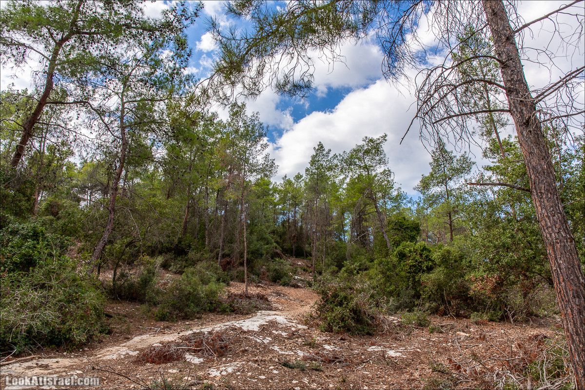 Пещера древнего человека в заповедника Нахаль Меарот и красивый маршрут по горе Кармель | LookAtIsrael.com - Фото путешествия по Израилю