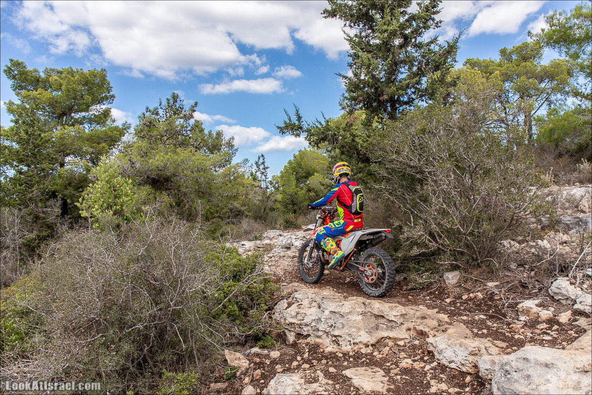 Пещера древнего человека в заповедника Нахаль Меарот и красивый маршрут по горе Кармель | LookAtIsrael.com - Фото путешествия по Израилю