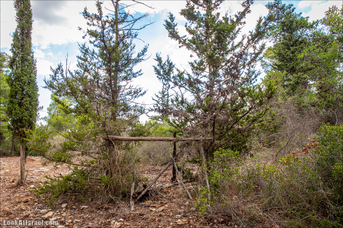 Пещера древнего человека в заповедника Нахаль Меарот и красивый маршрут по горе Кармель | LookAtIsrael.com - Фото путешествия по Израилю