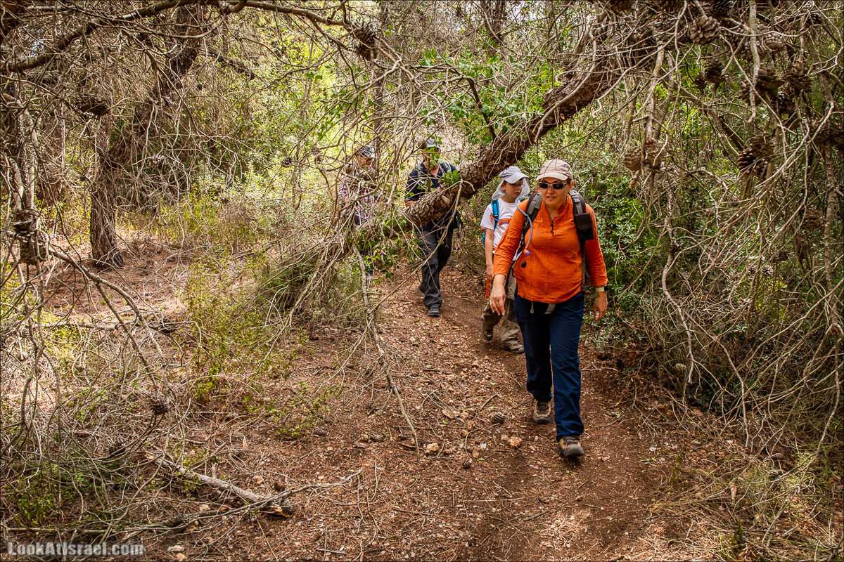 Пещера древнего человека в заповедника Нахаль Меарот и красивый маршрут по горе Кармель | LookAtIsrael.com - Фото путешествия по Израилю