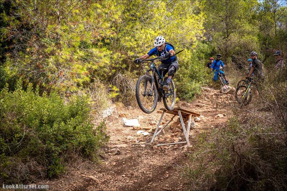 Пещера древнего человека в заповедника Нахаль Меарот и красивый маршрут по горе Кармель | LookAtIsrael.com - Фото путешествия по Израилю