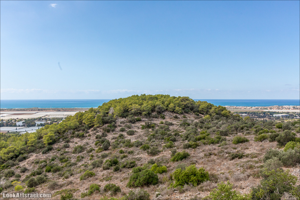 Пещера древнего человека в заповедника Нахаль Меарот и красивый маршрут по горе Кармель | LookAtIsrael.com - Фото путешествия по Израилю