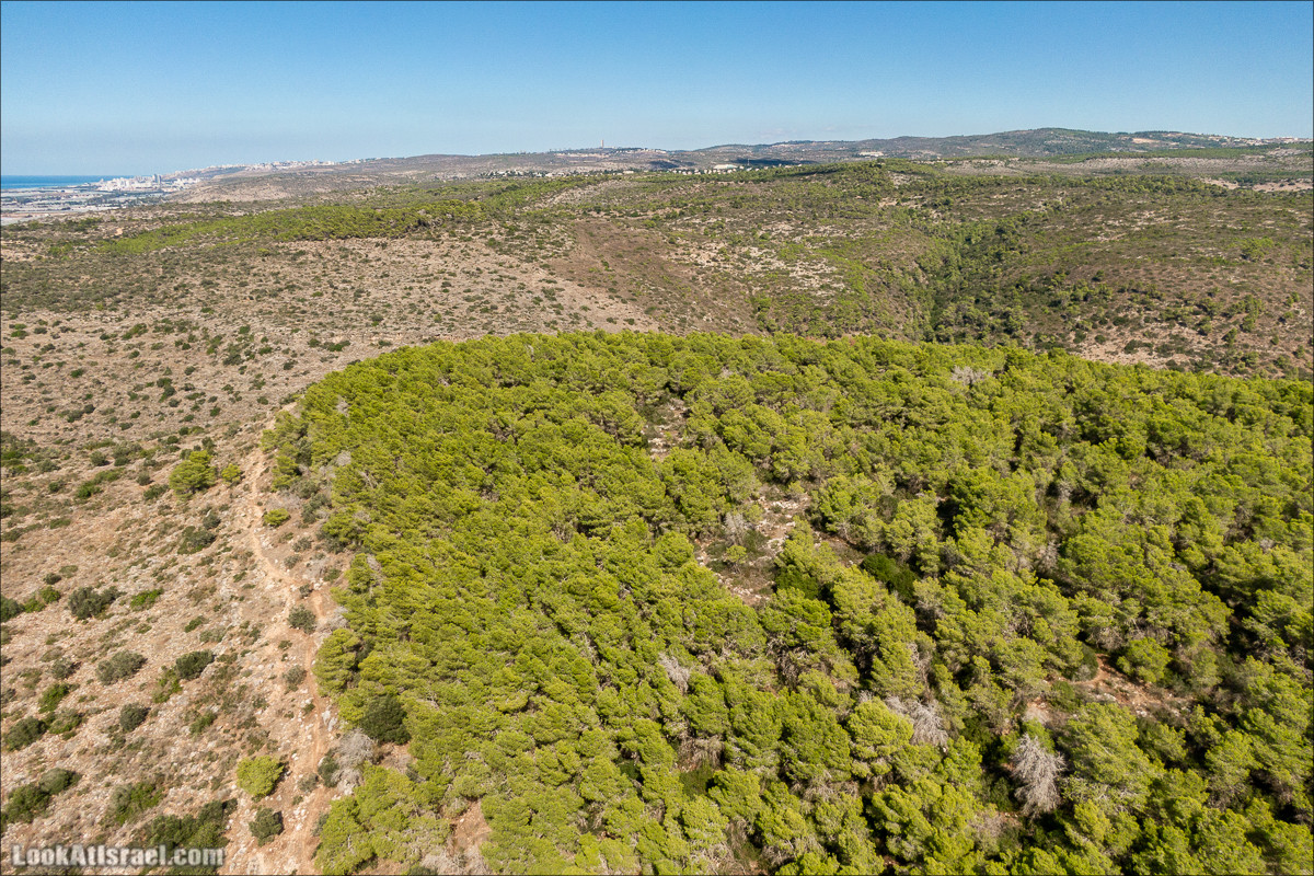 Пещера древнего человека в заповедника Нахаль Меарот и красивый маршрут по горе Кармель | LookAtIsrael.com - Фото путешествия по Израилю
