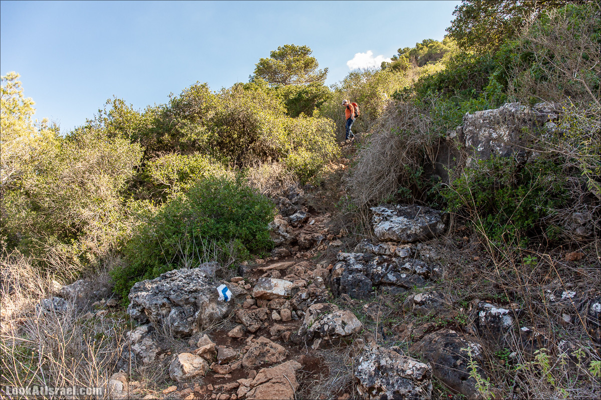 Пещера древнего человека в заповедника Нахаль Меарот и красивый маршрут по горе Кармель | LookAtIsrael.com - Фото путешествия по Израилю