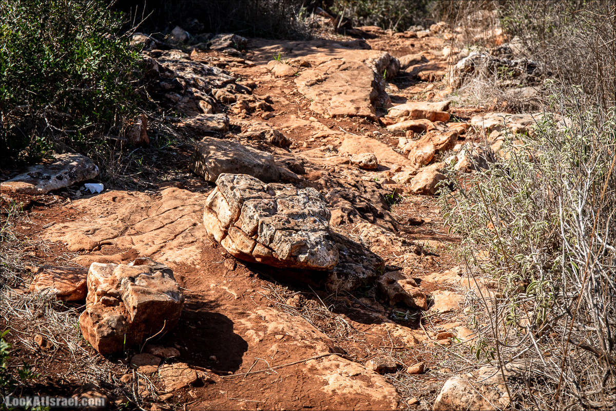 Пещера древнего человека в заповедника Нахаль Меарот и красивый маршрут по горе Кармель | LookAtIsrael.com - Фото путешествия по Израилю