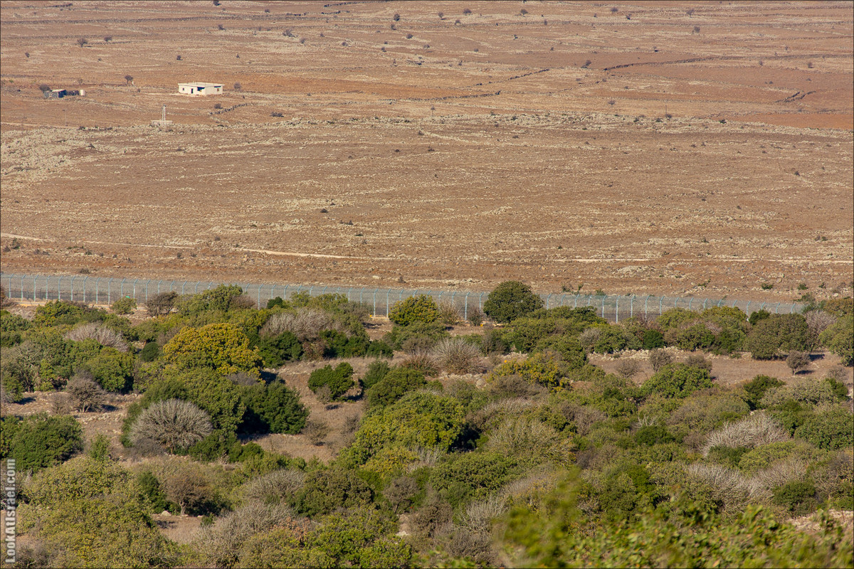 Голанские высоты | Golan heights | LookAtIsrael.com - Фото путешествия по Израилю
