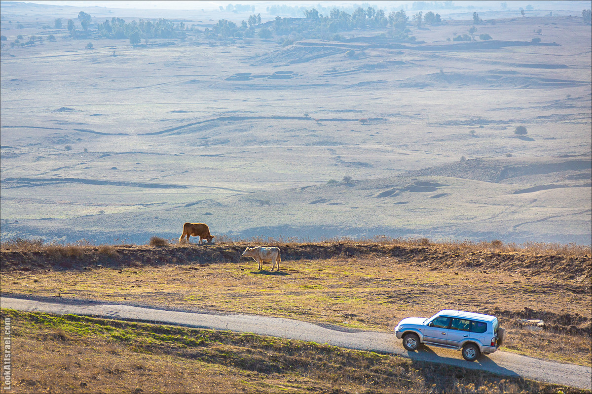 Голанские высоты | Golan heights | LookAtIsrael.com - Фото путешествия по Израилю