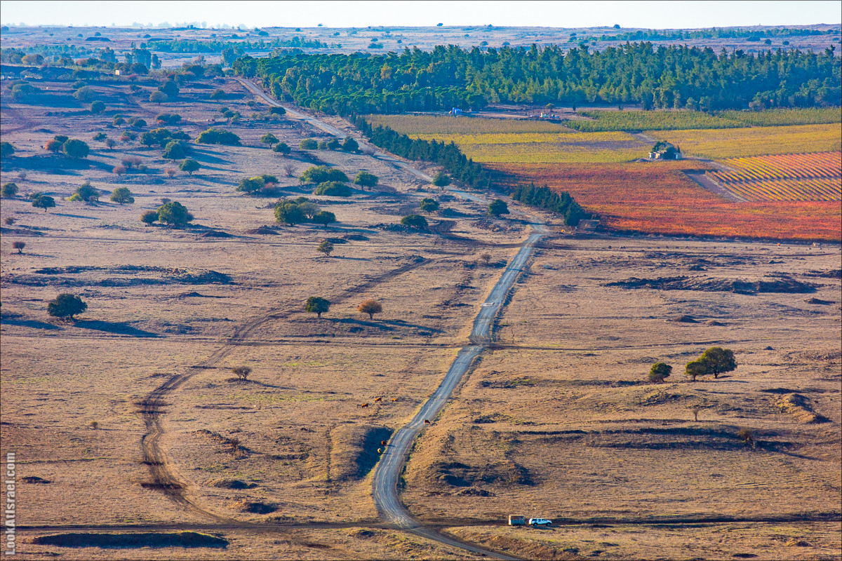 Голанские высоты | Golan heights | LookAtIsrael.com - Фото путешествия по Израилю