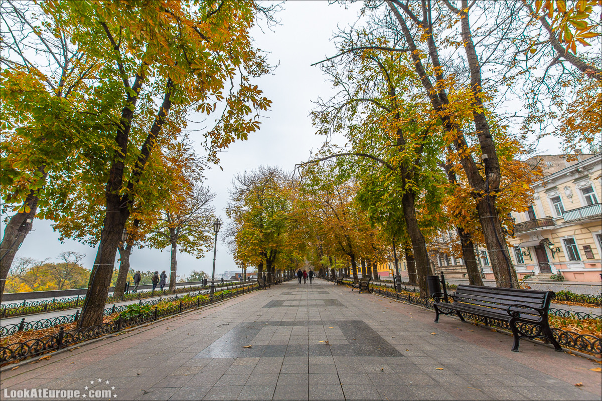 Осень в Одессе | LookAtIsrael.com - Фото путешествия по Израилю