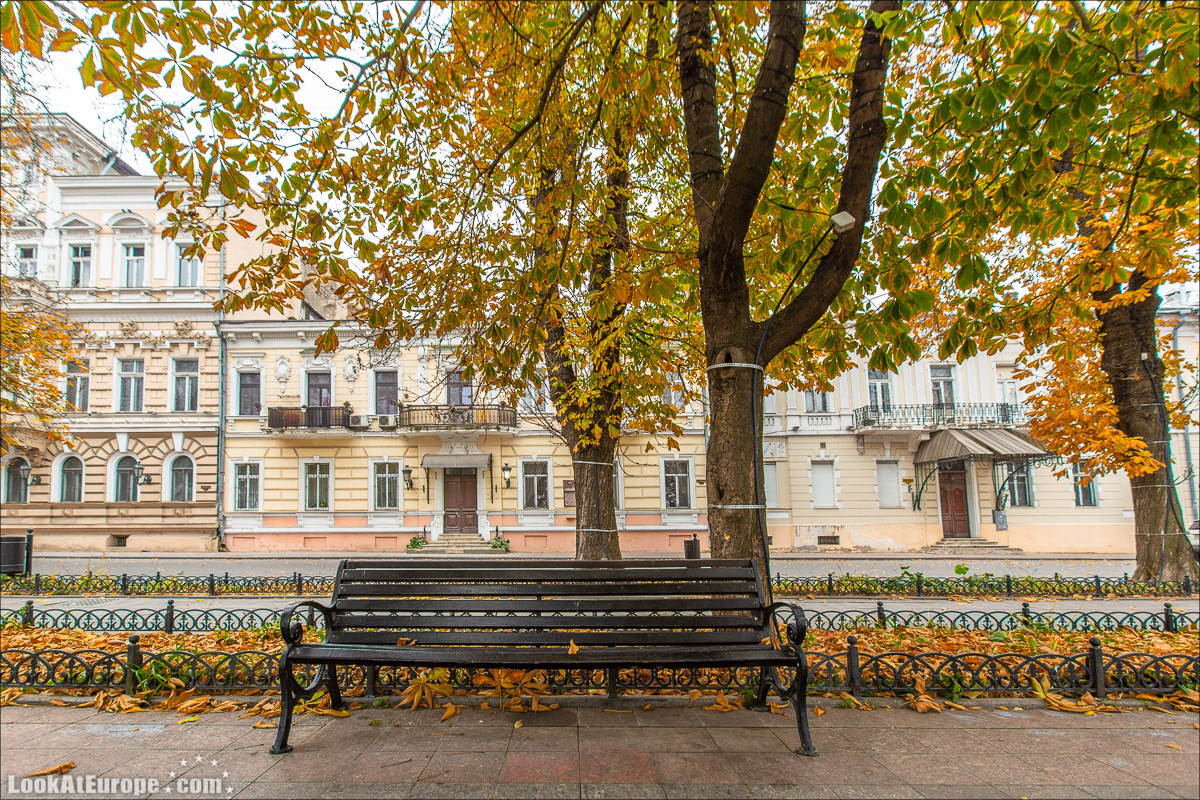 Осень в Одессе | LookAtIsrael.com - Фото путешествия по Израилю