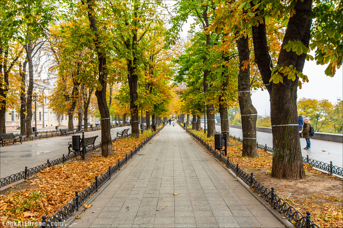 Осень в Одессе | LookAtIsrael.com - Фото путешествия по Израилю