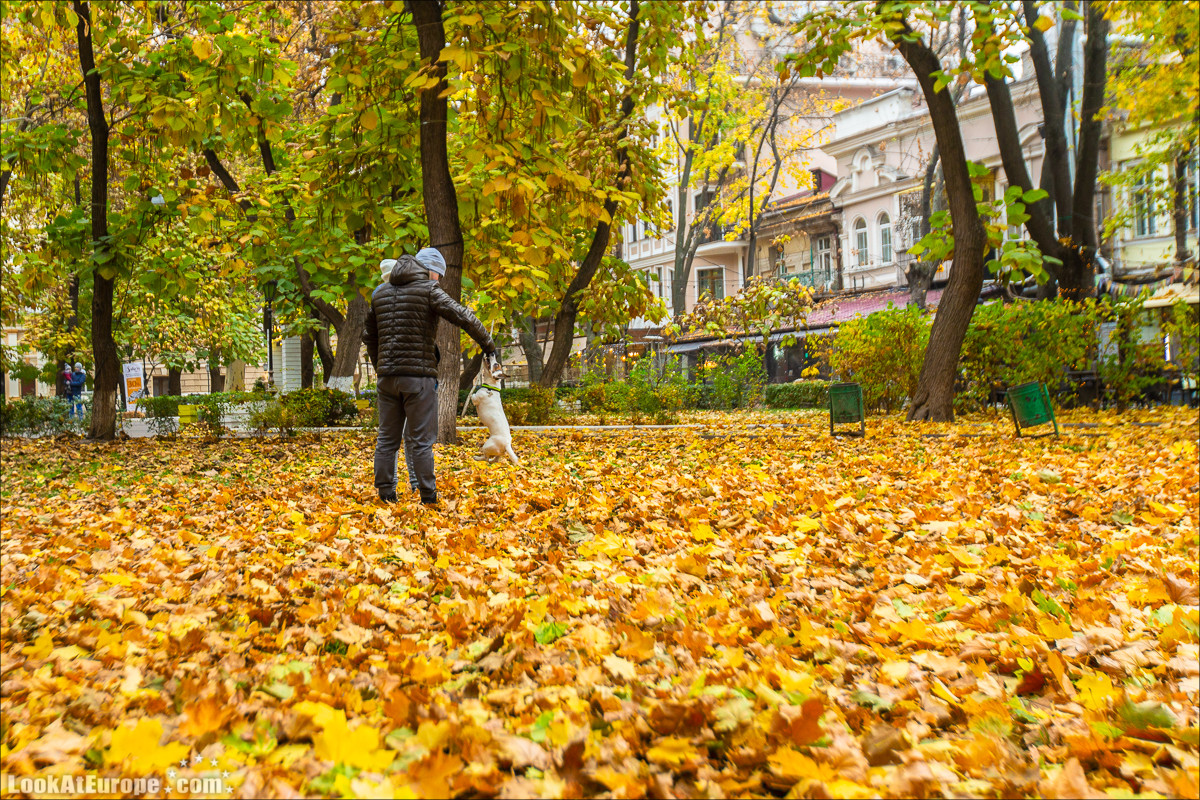 Осень в Одессе | LookAtIsrael.com - Фото путешествия по Израилю