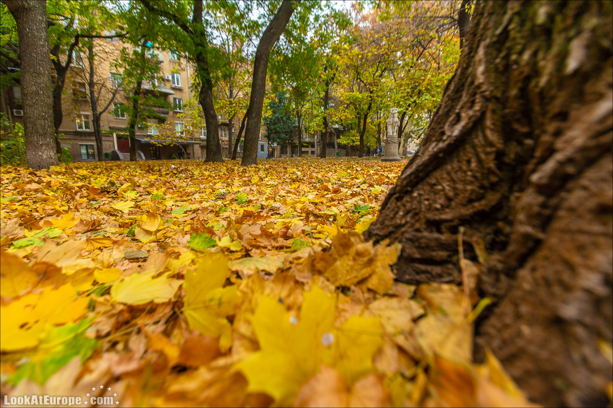 Осень в Одессе | LookAtIsrael.com - Фото путешествия по Израилю