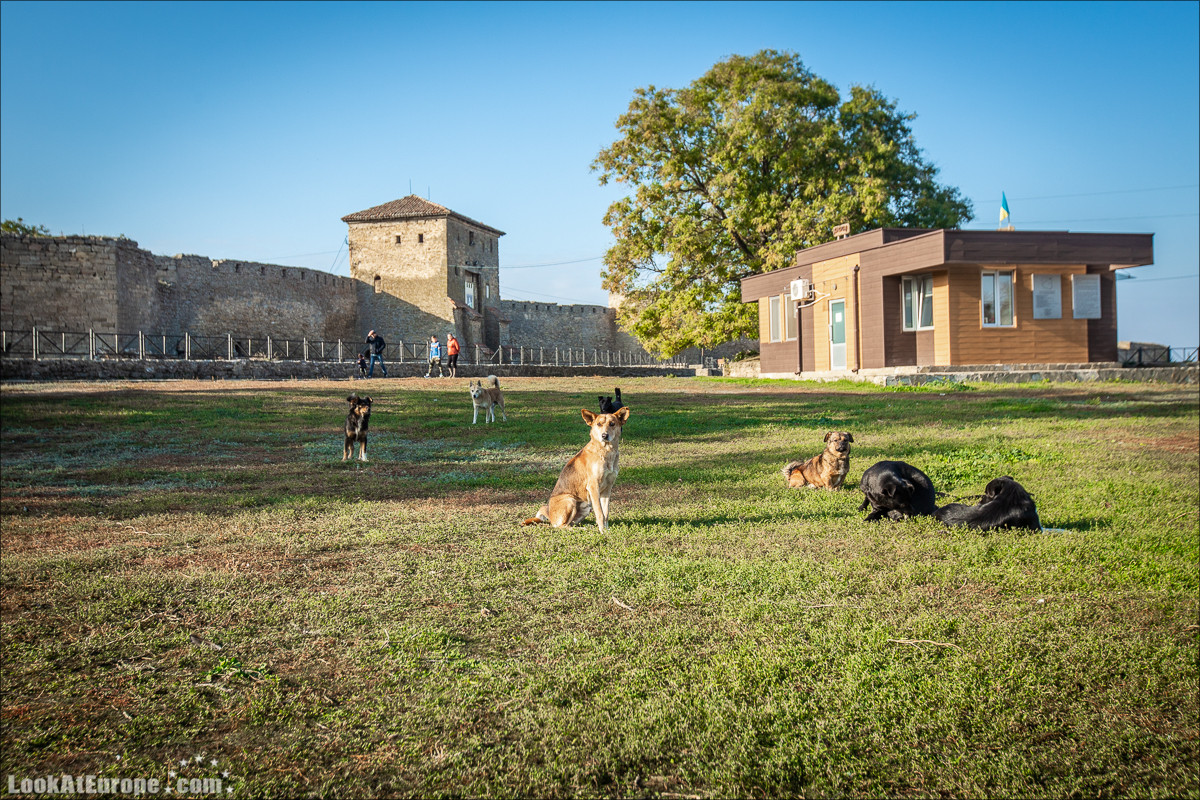 Аккерман, древняя Тира, крепость Белгород-Днестровск, | LookAtIsrael.com - Фото путешествия по Израилю