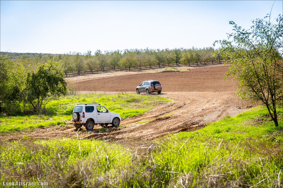 Пещеры и поля округа Лахиш | LookAtIsrael.com - Фото путешествия по Израилю
