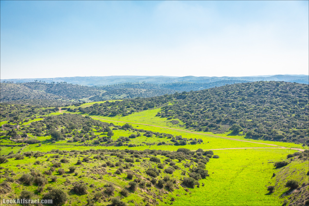 Пещеры и поля округа Лахиш | LookAtIsrael.com - Фото путешествия по Израилю