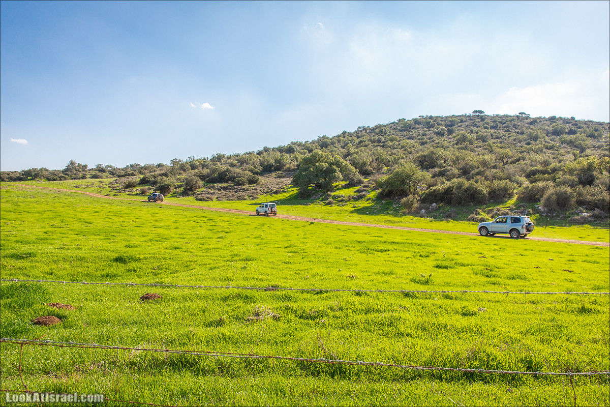 Пещеры и поля округа Лахиш | LookAtIsrael.com - Фото путешествия по Израилю